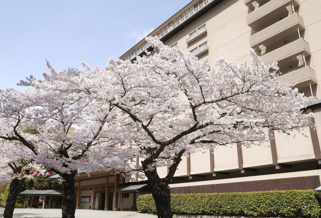 Suimeikan Gero Extérieur photo Sakura trees in full bloom