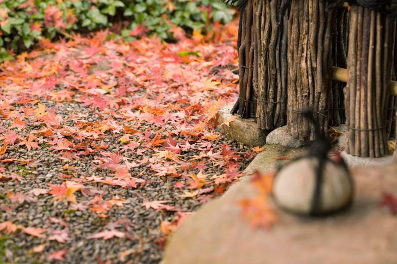 Suimeikan Gero Extérieur photo Autumn leaves